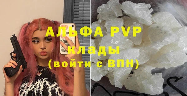прущие крисы Абаза
