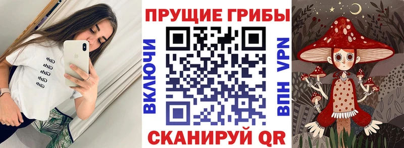Галлюциногенные грибы прущие грибы  Александровск 